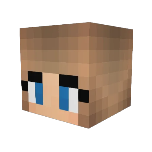Xx__Ellie__xX Minecraft avatar head, 3D render