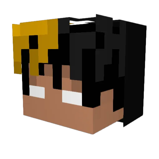 Xx__Kronix__xX Minecraft avatar head, 3D render