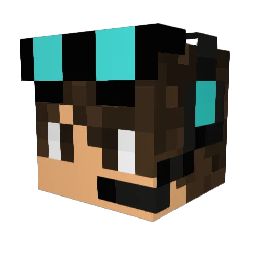 Xx__MW__xX Minecraft avatar head, 3D render