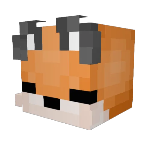 Xx_jed_xX Minecraft avatar head, 3D render
