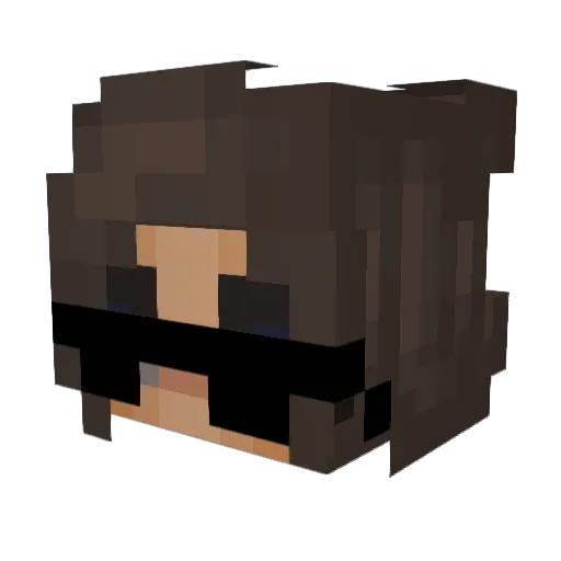 Xxananas1xX Minecraft avatar head, 3D render