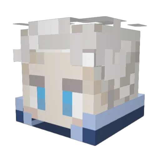 XxbassinxX Minecraft avatar head, 3D render