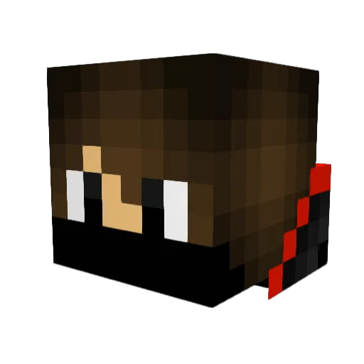 Xxblazexx07 Minecraft avatar head, 3D render