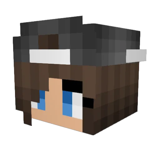 XxcasssxX Minecraft avatar head, 3D render