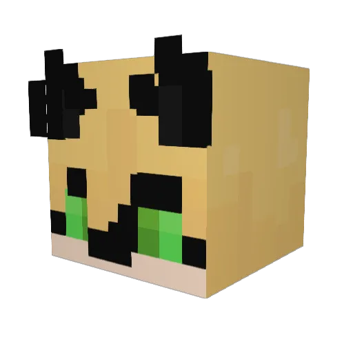 XxcatnoirxX Minecraft avatar head, 3D render