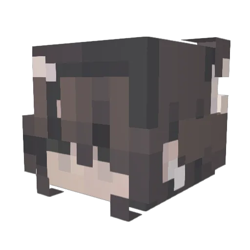 XxcloudskiesxX Minecraft avatar head, 3D render