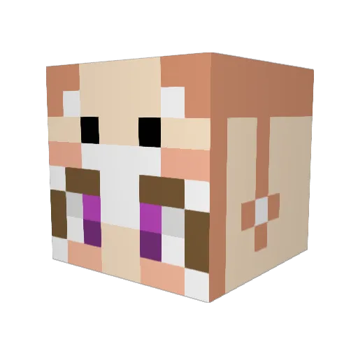 Xxhippy123xX Minecraft avatar head, 3D render