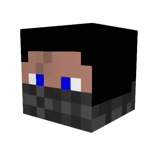 XxinFAMOUS1617xX Minecraft avatar head, 3D render