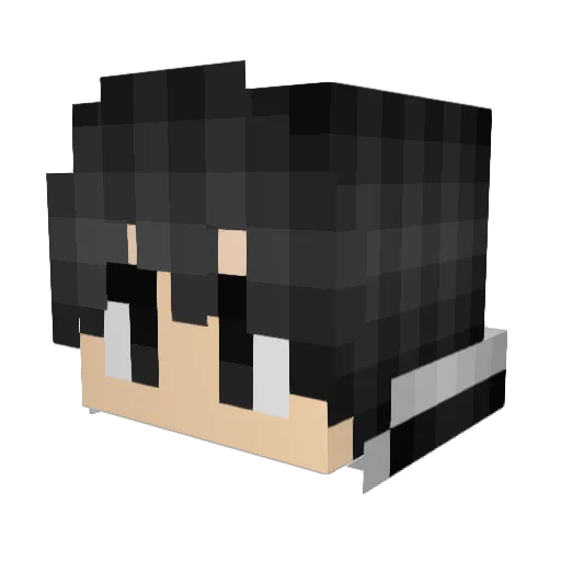 XxlolguyxX Minecraft avatar head, 3D render