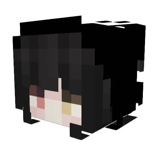 XxluaxX Minecraft avatar head, 3D render