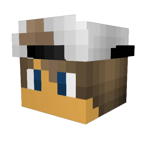 Xxmc_zockerxX Minecraft avatar head, 3D render
