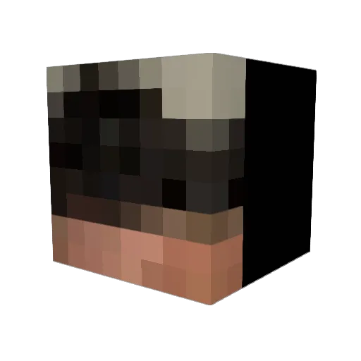 XxobamaxX5 Minecraft avatar head, 3D render