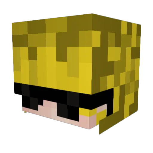 Xxpablo420xX Minecraft avatar head, 3D render