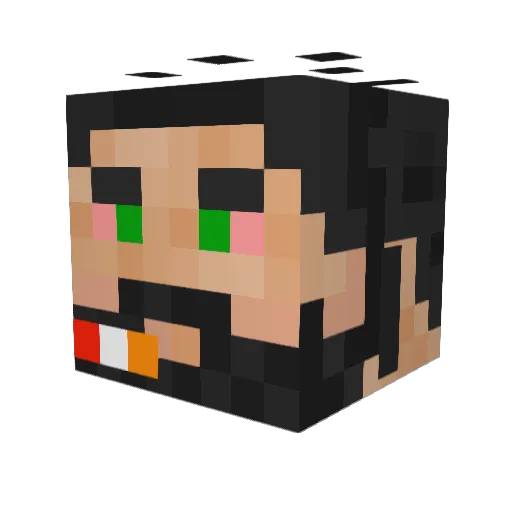 XxpowysxX Minecraft avatar head, 3D render