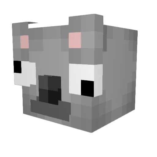 Xxray133 Minecraft avatar head, 3D render
