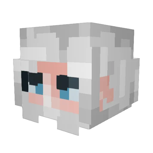 XxrelytxX Minecraft avatar head, 3D render