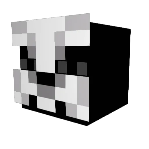 Xxrjgamer Minecraft avatar head, 3D render