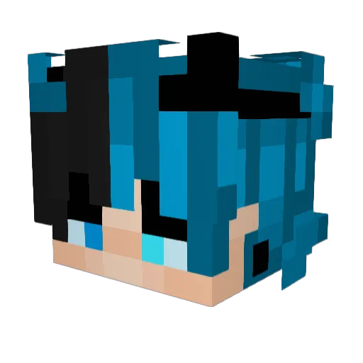 Xxspiderkiller12 Minecraft avatar head, 3D render