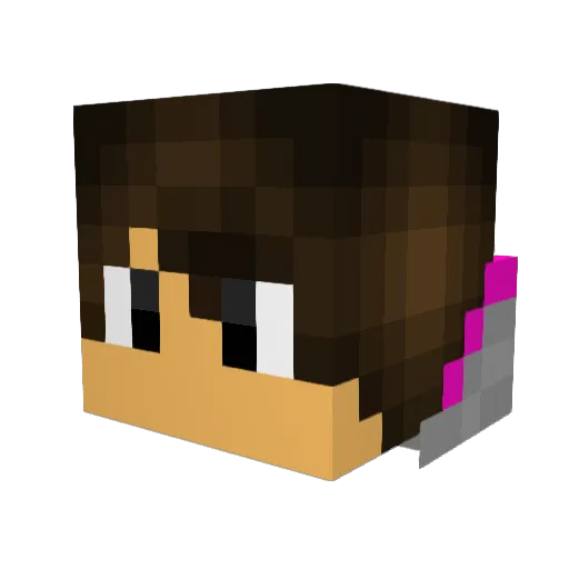 XxxBenjixxX Minecraft avatar head, 3D render