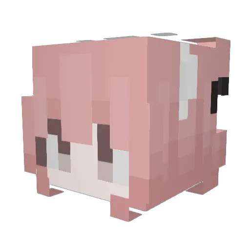 Xxxxxxxxxxx621 Minecraft avatar head, 3D render