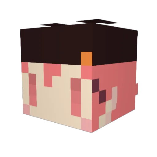 XxyuxX5 Minecraft avatar head, 3D render