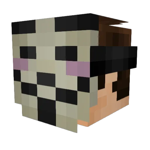 Xylans Minecraft avatar head, 3D render