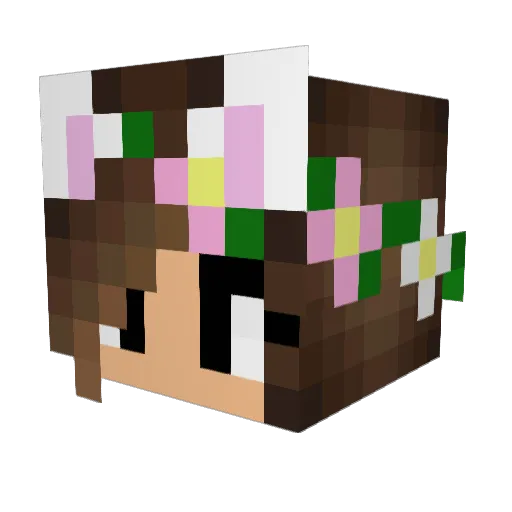 Xylema Minecraft avatar head, 3D render