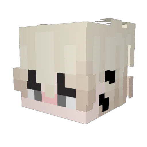 Xyler Minecraft avatar head, 3D render