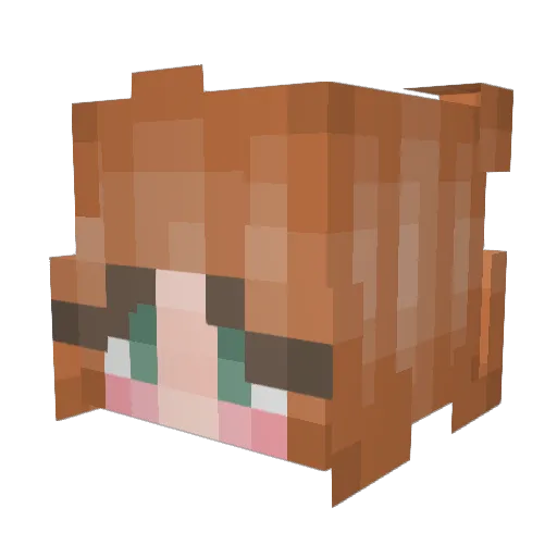 Xylia_13 Minecraft avatar head, 3D render