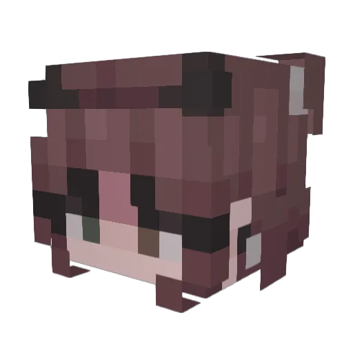 Xylinxi Minecraft avatar head, 3D render