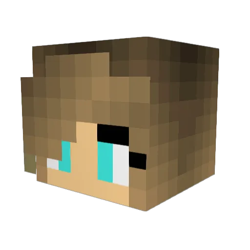 Xylomin Minecraft avatar head, 3D render