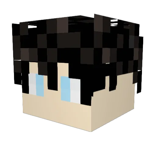 Xyne21 Minecraft avatar head, 3D render
