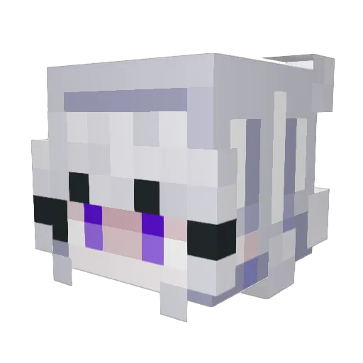 XynoriaHime Minecraft avatar head, 3D render