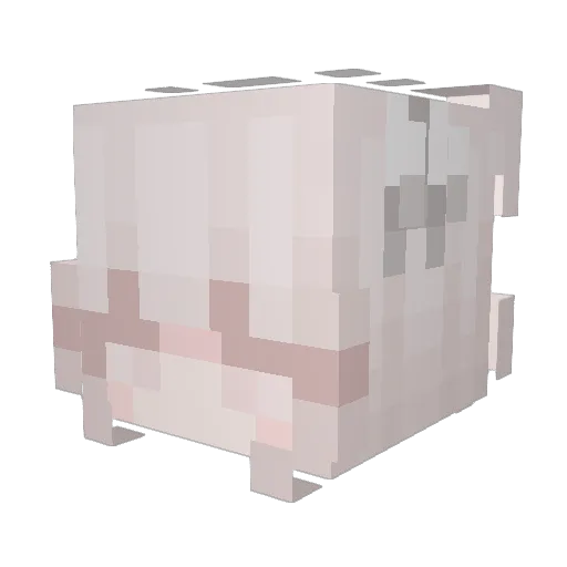 Xyntrixx Minecraft avatar head, 3D render