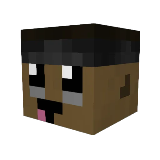 XyraaSavage Minecraft avatar head, 3D render