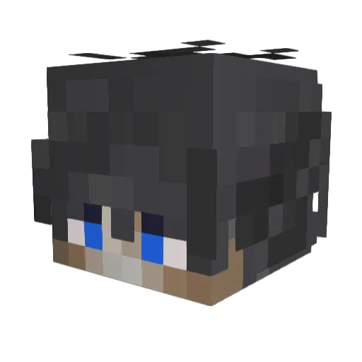 Xyrqua Minecraft avatar head, 3D render