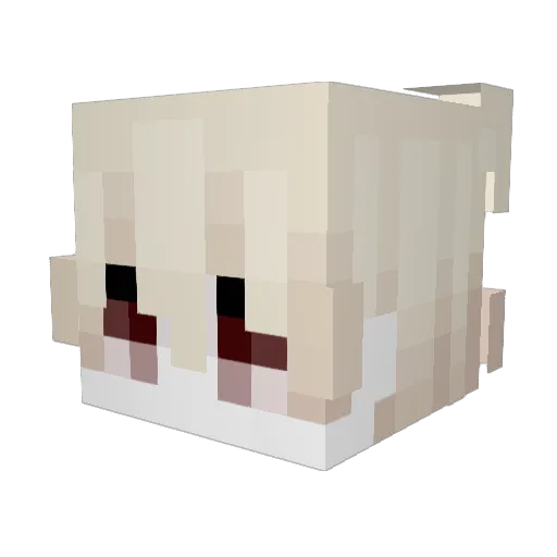 Xytelie Minecraft avatar head, 3D render