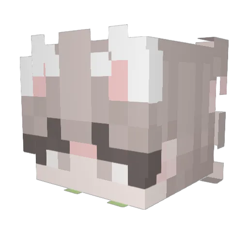 XyyDohhLuvWalnut Minecraft avatar head, 3D render