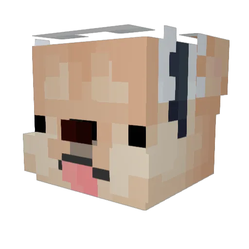 XyyPa Minecraft avatar head, 3D render