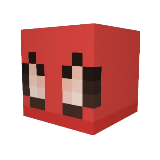 Xyzrda Minecraft avatar head, 3D render