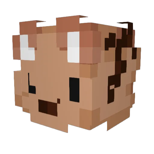 Xzardor Minecraft avatar head, 3D render