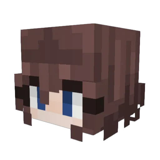 Xzeelent Minecraft avatar head, 3D render