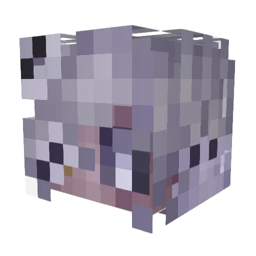 Xzylar Minecraft avatar head, 3D render