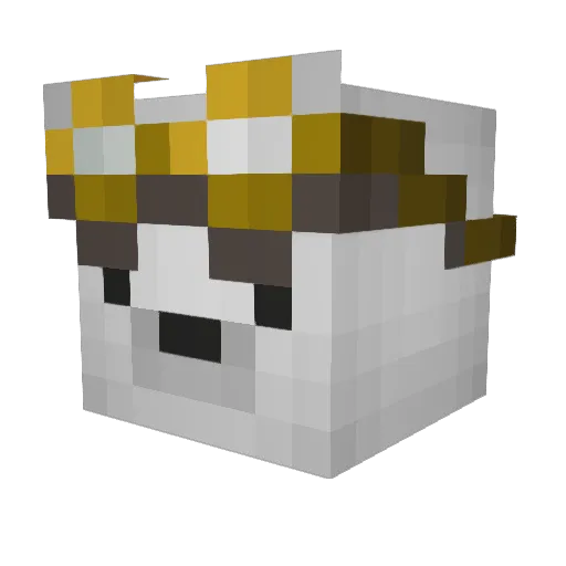 Y0K0xX Minecraft avatar head, 3D render