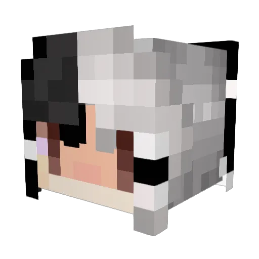 Y0MG Minecraft avatar head, 3D render