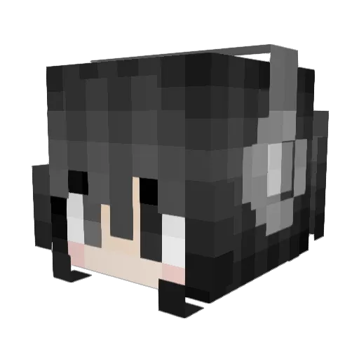 Y0NIS Minecraft avatar head, 3D render