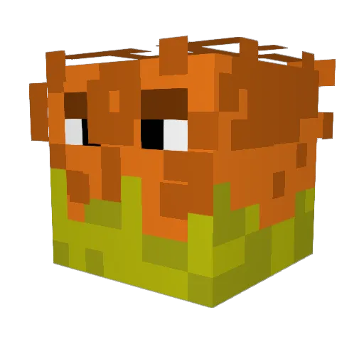 Y0ORT Minecraft avatar head, 3D render