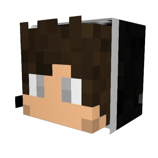Y0WANE Minecraft avatar head, 3D render