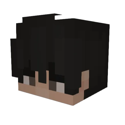 Y0Y0315 Minecraft avatar head, 3D render