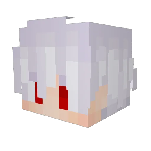 Y0_Y Minecraft avatar head, 3D render